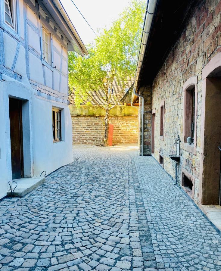 Vintner Suites Neustadt an der Weinstrasse Exterior photo